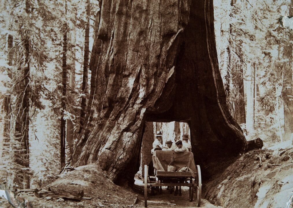 Vintage photos that show the beauty of America's national parks
